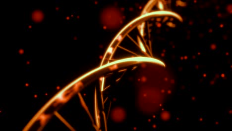 DNA-Spinning-RNA-Doppelhelix,-Langsame-Kamerafahrt,-Nahaufnahme,-Tiefenschärfe,-4K